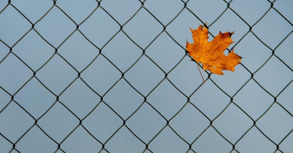 rekomendasi pagar wiremesh minimalis kps steel distributor besi jakarta